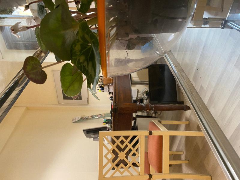 Panzani 14 Touristhouse Hotel Montespertoli Ngoại thất bức ảnh
